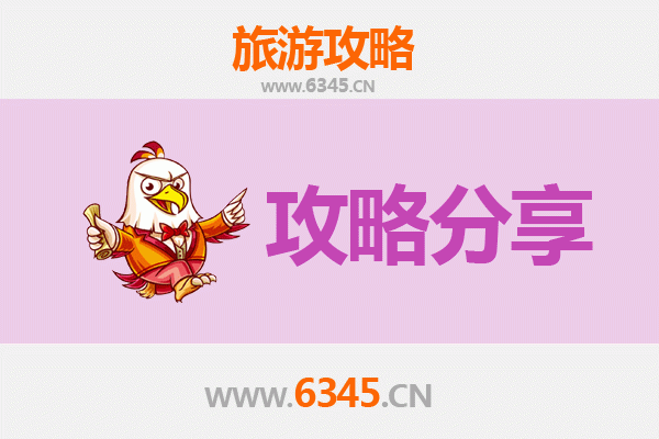 上海松江旅游攻略：跟团与自由行全方位对比