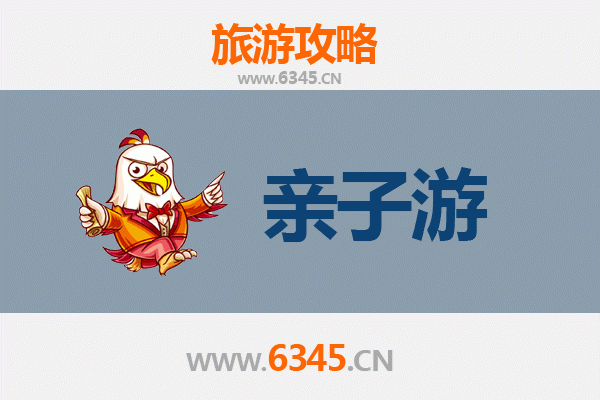 上海松江亲子游攻略：探索自然与历史的欢乐之旅