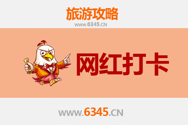 上海松江网红打卡地全攻略：探索魔都隐藏的文艺与自然之美