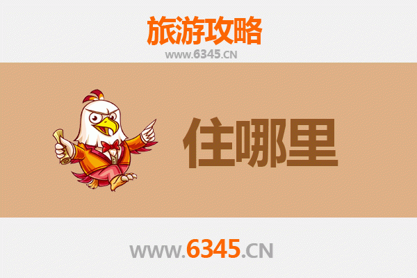 上海松江旅游民宿全攻略：深游广富林，枕水江南梦