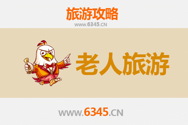上海松江银发之旅：慢游古镇、品茗赏景，乐享悠闲时光