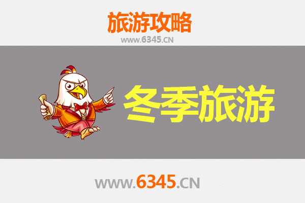 上海松江冬季旅游攻略：探索历史与现代交融的温暖之旅